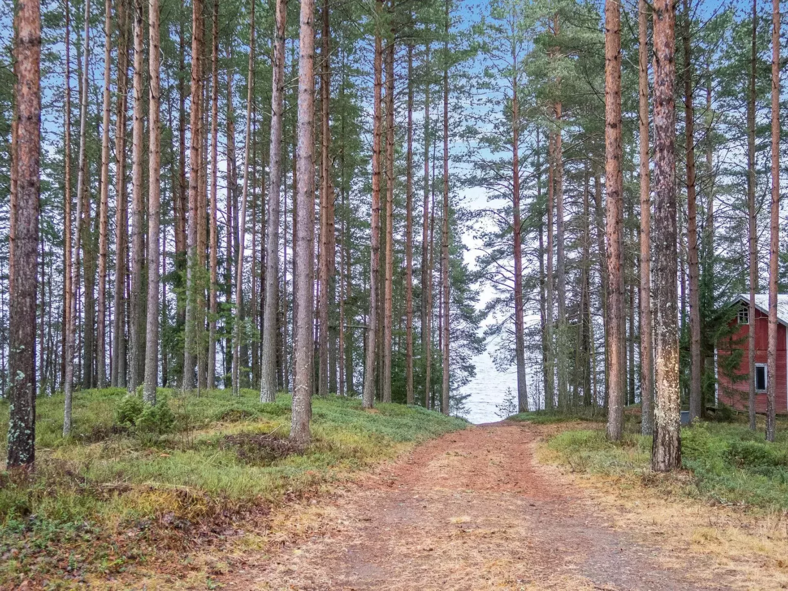 Kotilampela-Buiten