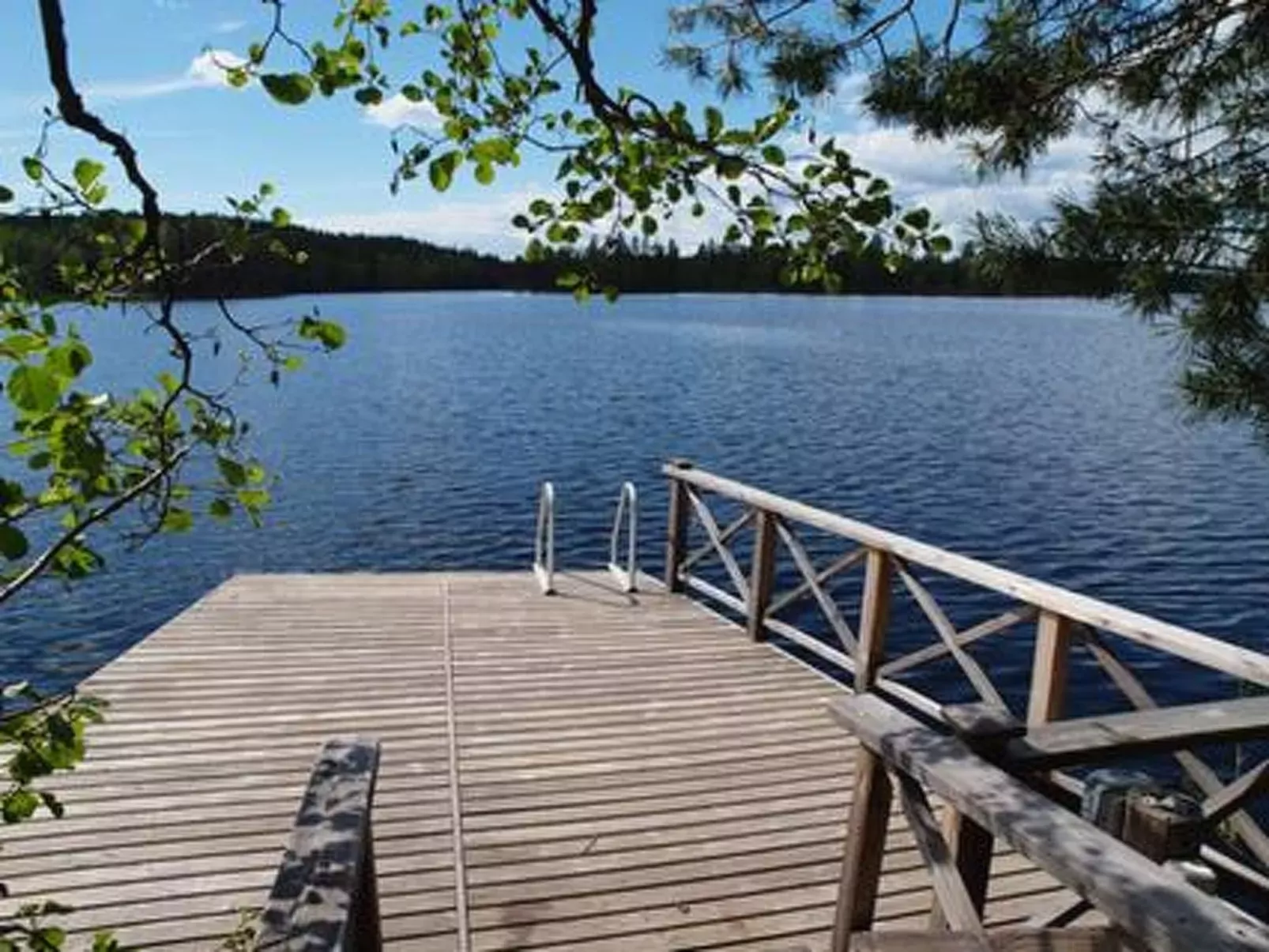 Koivukallio