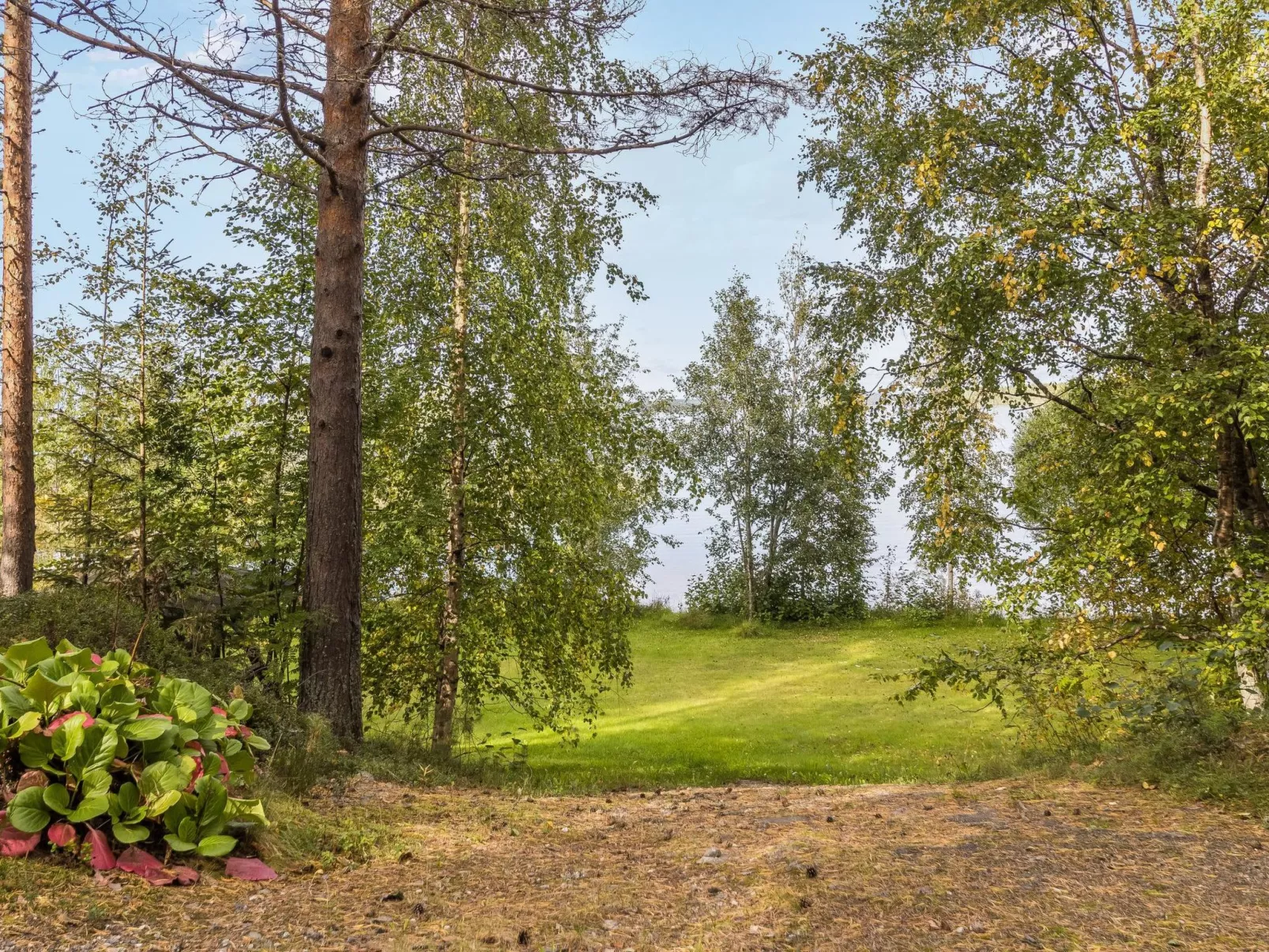 Rajala-Buiten