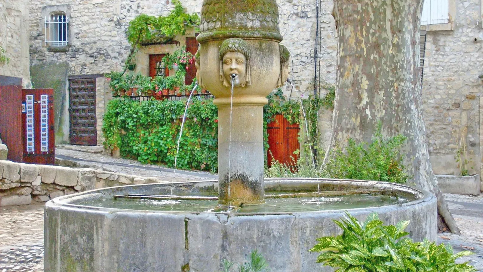 La Pinede