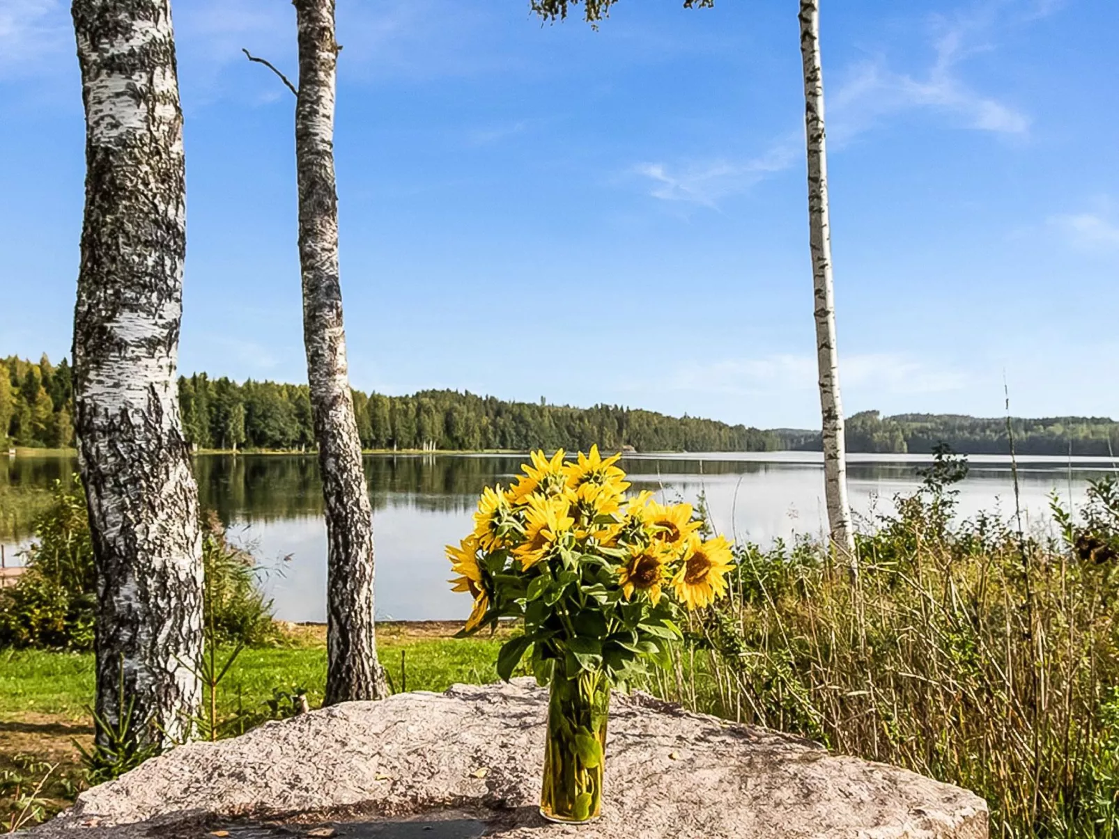 Myllymökki-Buiten