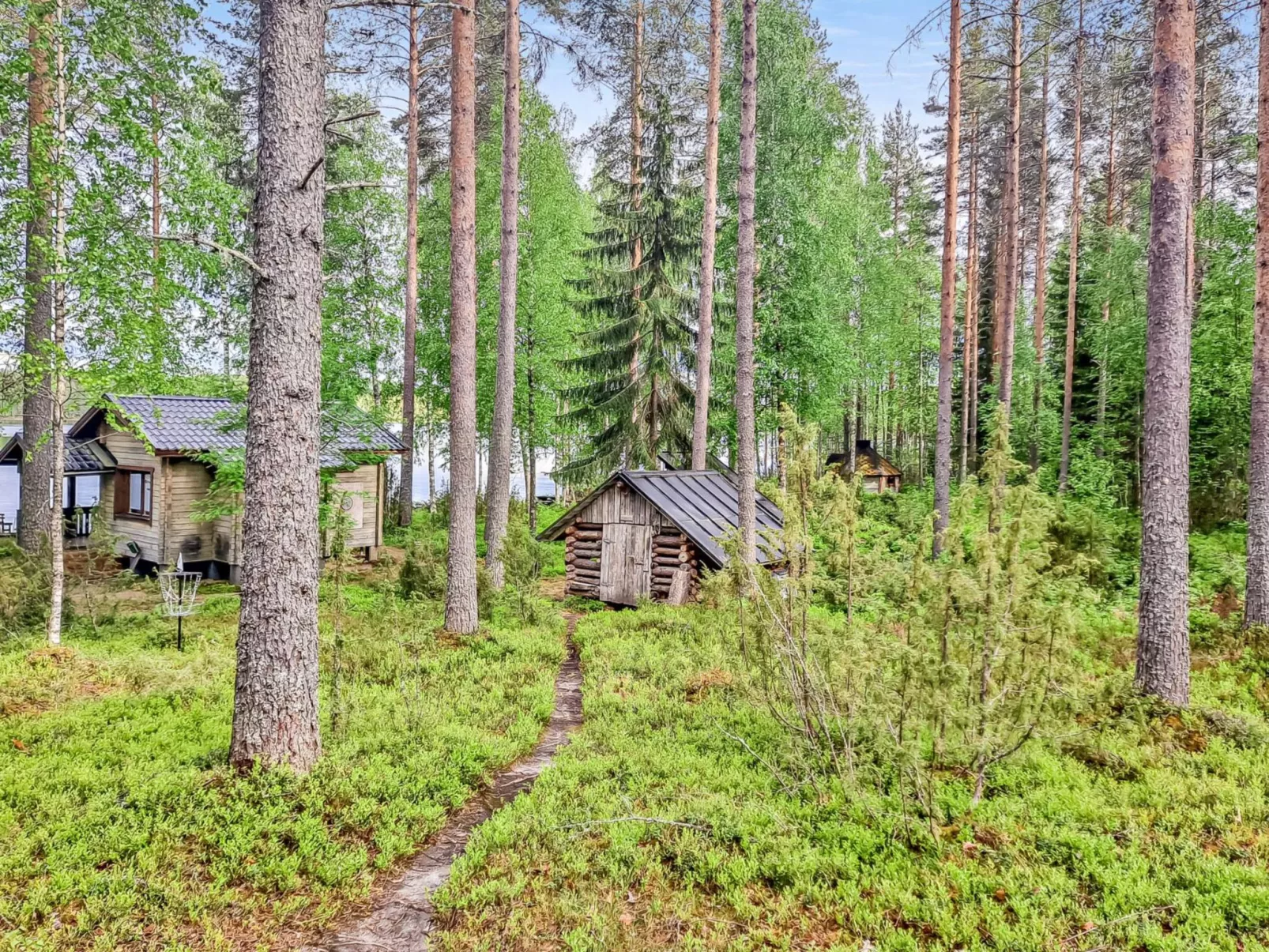 Pilkkaniemi-Buiten