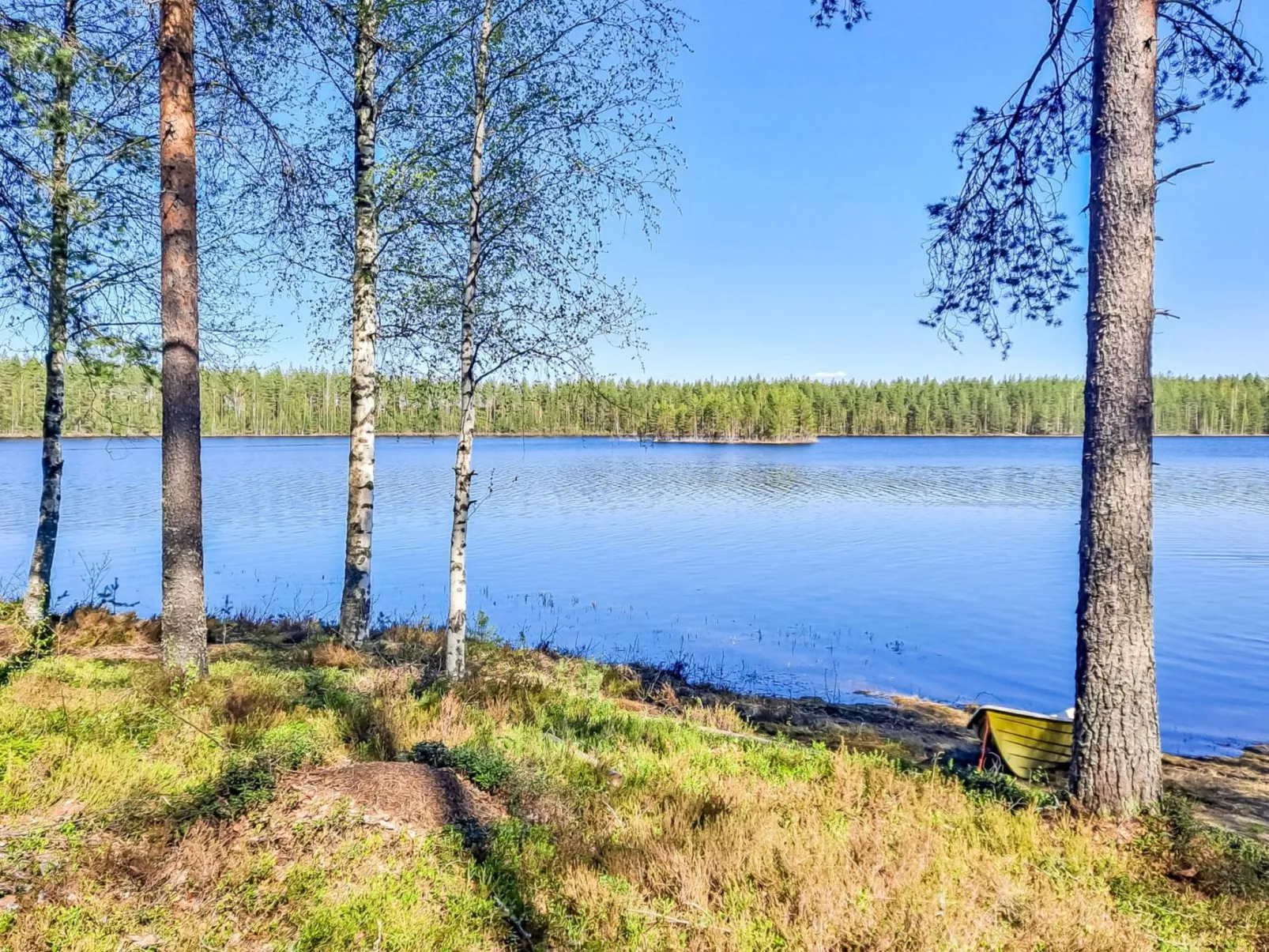 Pilkkaniemi-Buiten