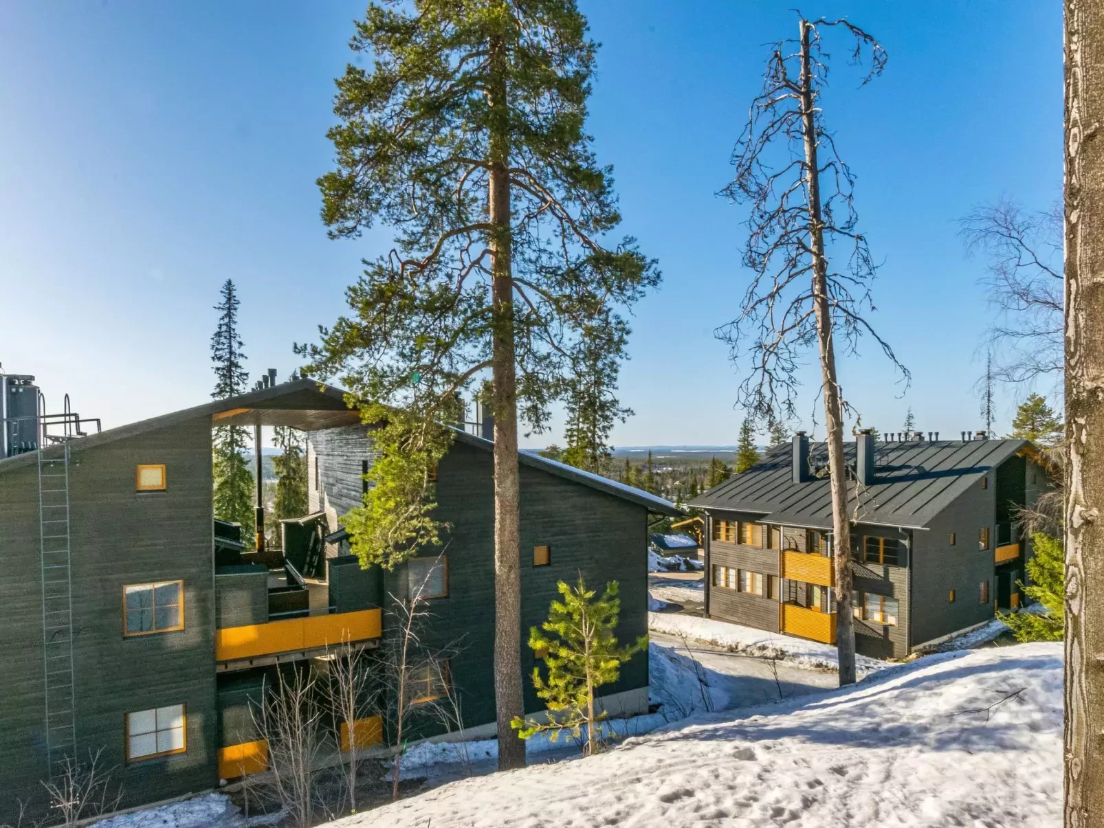 Karhunvartijan kota b1-Buiten