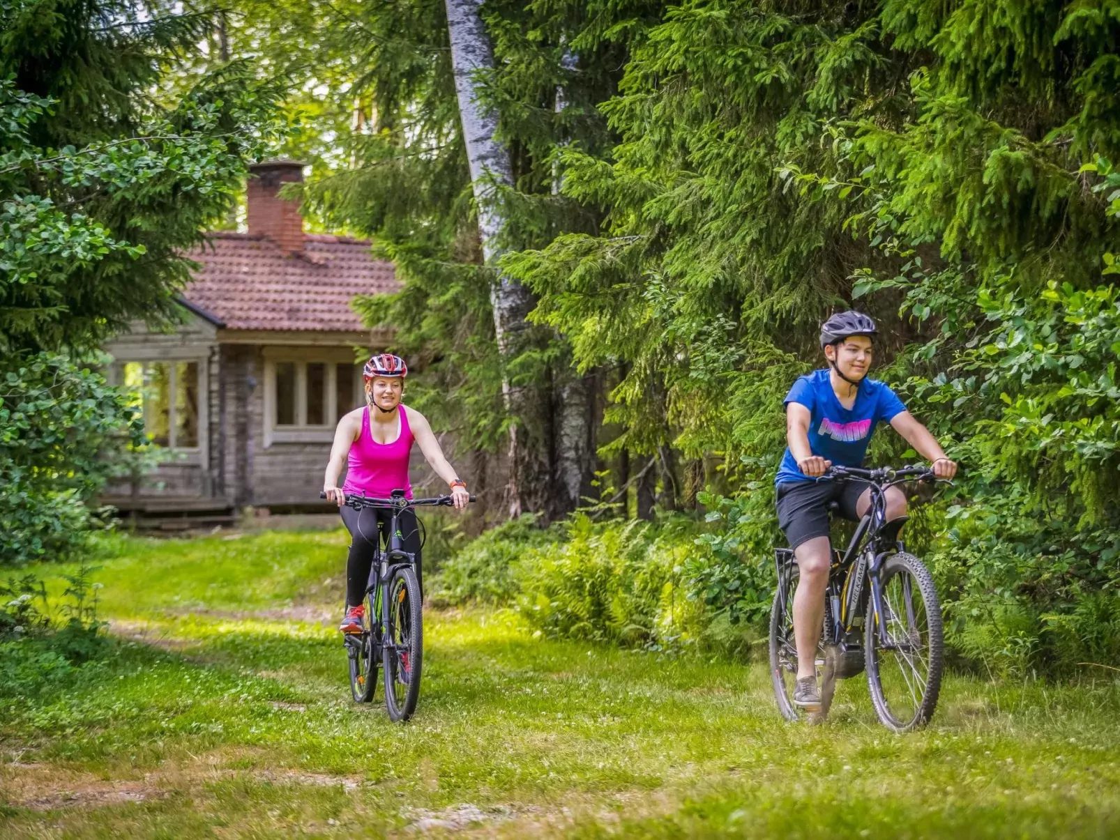Vesan villa-Buiten