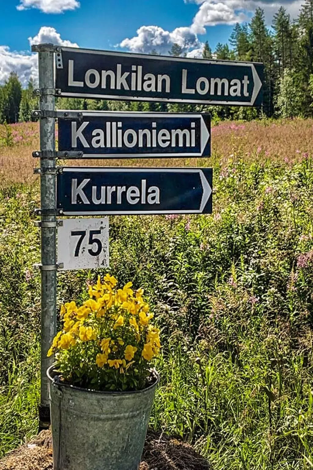 Kallioniemi-Buiten