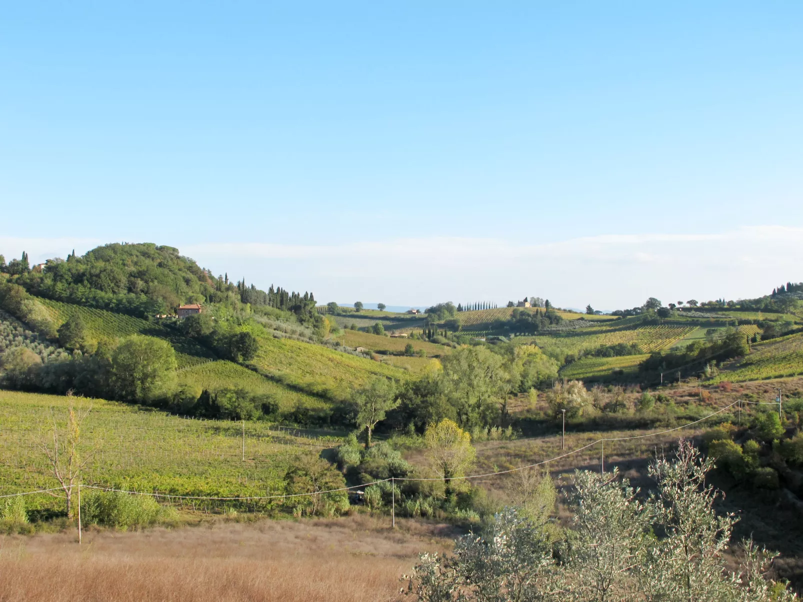 Fattoria Petraglia - Loggiato-Omgeving