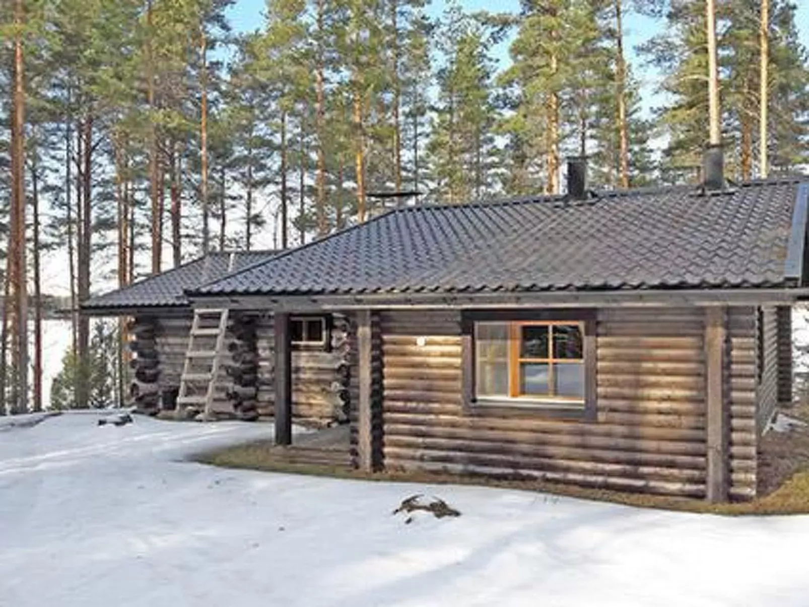 Näätämö-Buiten