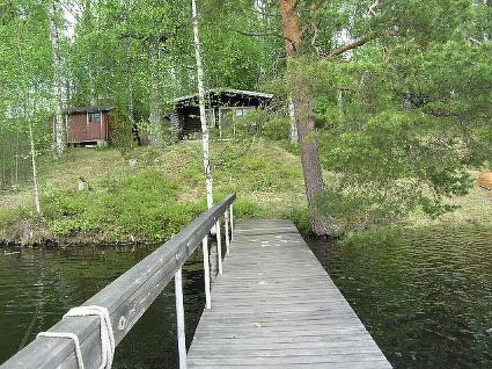 Koivurinne-Buiten
