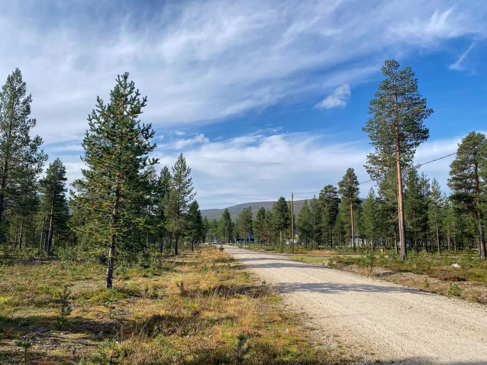 Kuukkeli