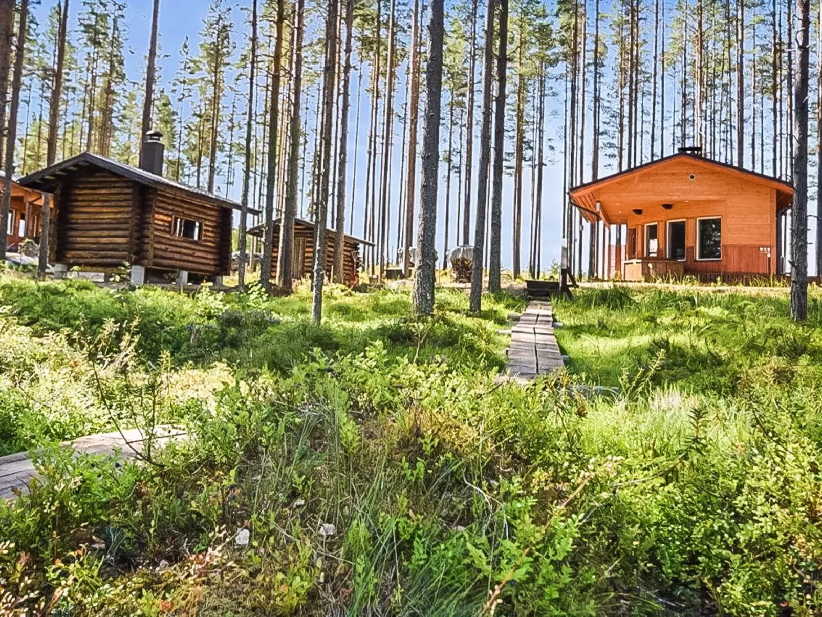 Lepovalkeinen-Buiten