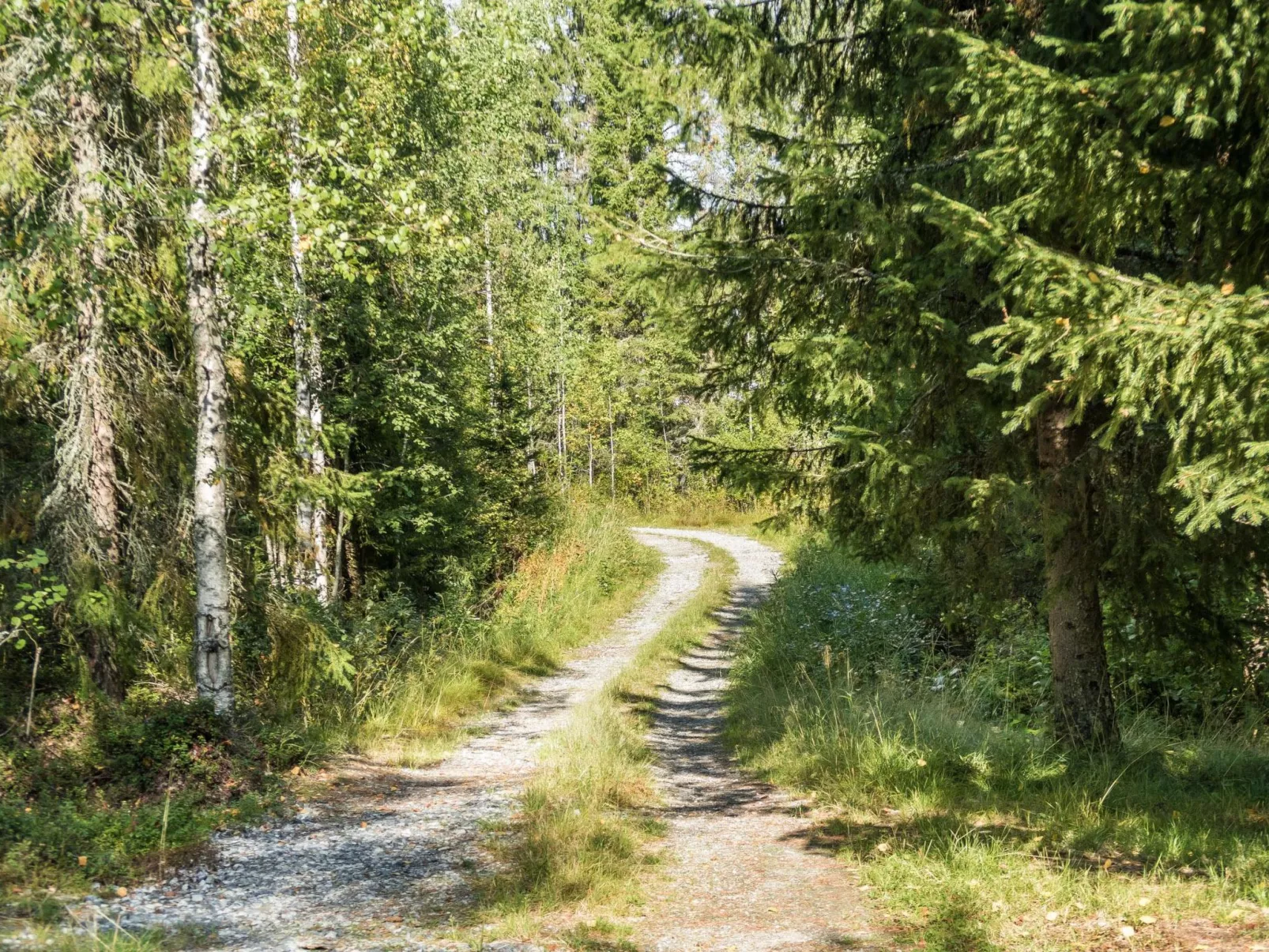 Huotarin mökki-Buiten