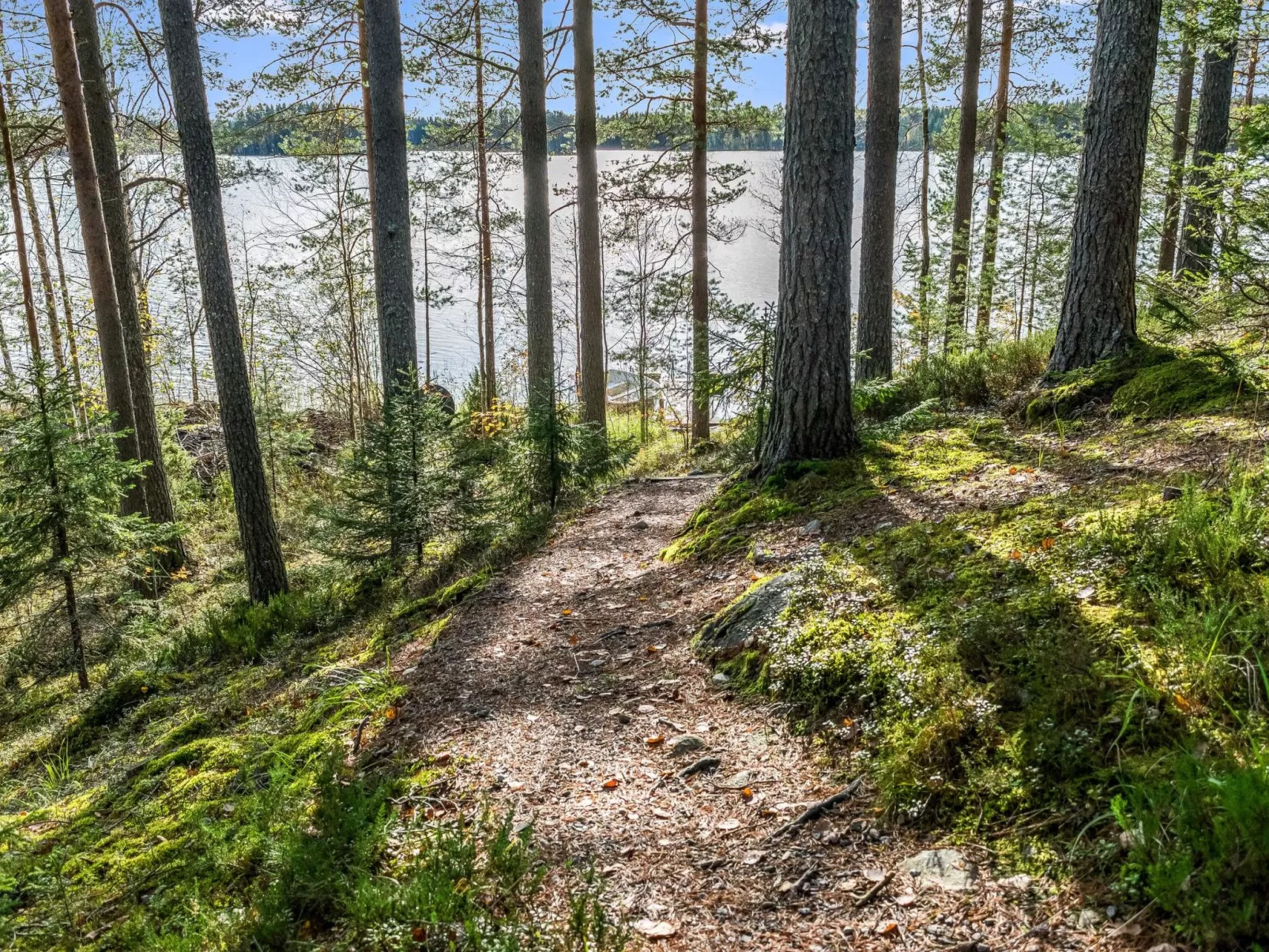 Kanerva-Buiten