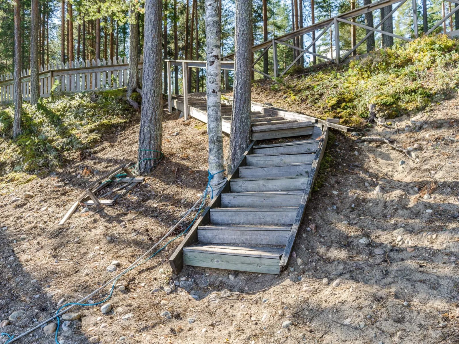 Honkakoli 9-Buiten
