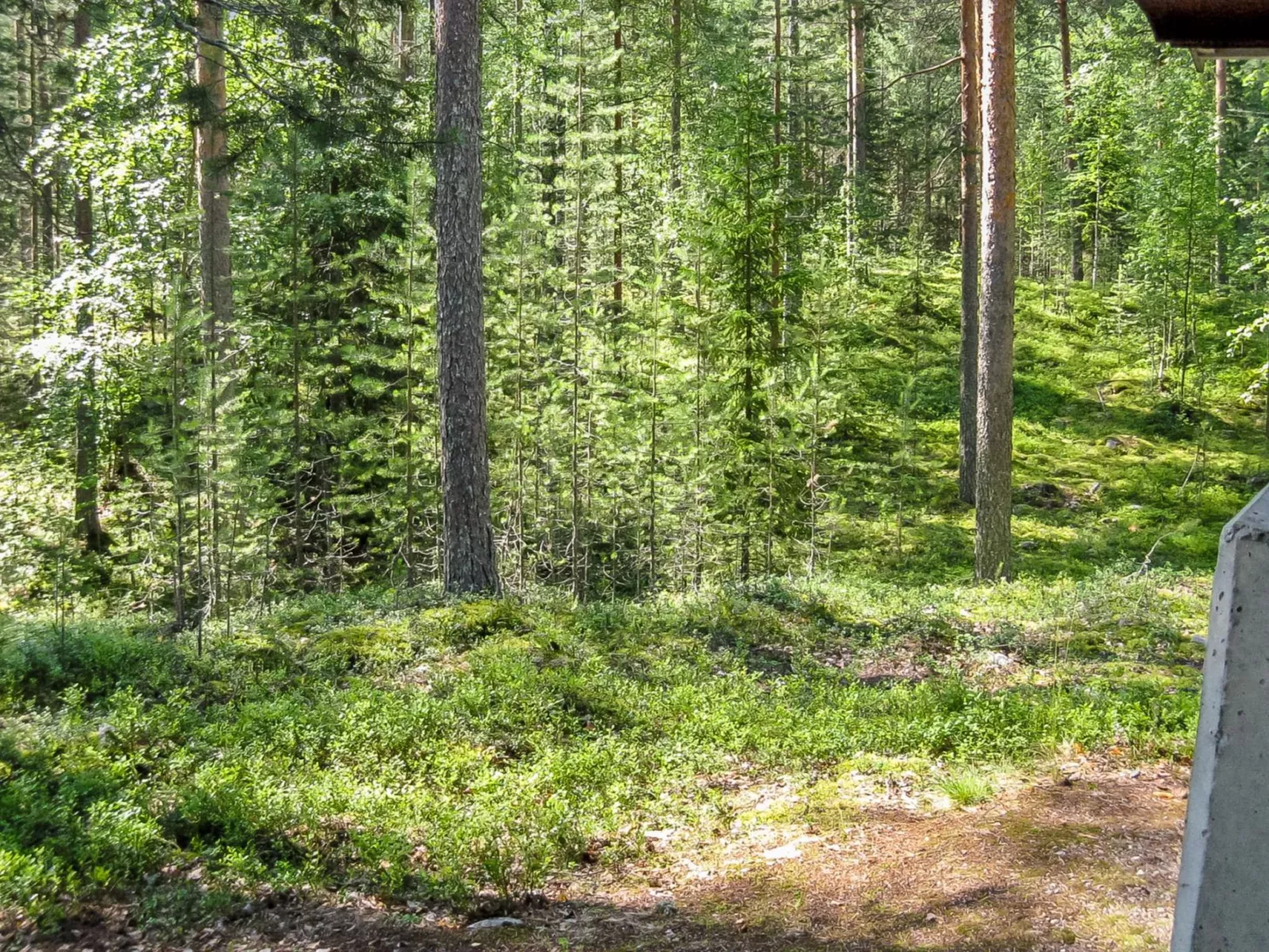Honkakoli 9-Buiten