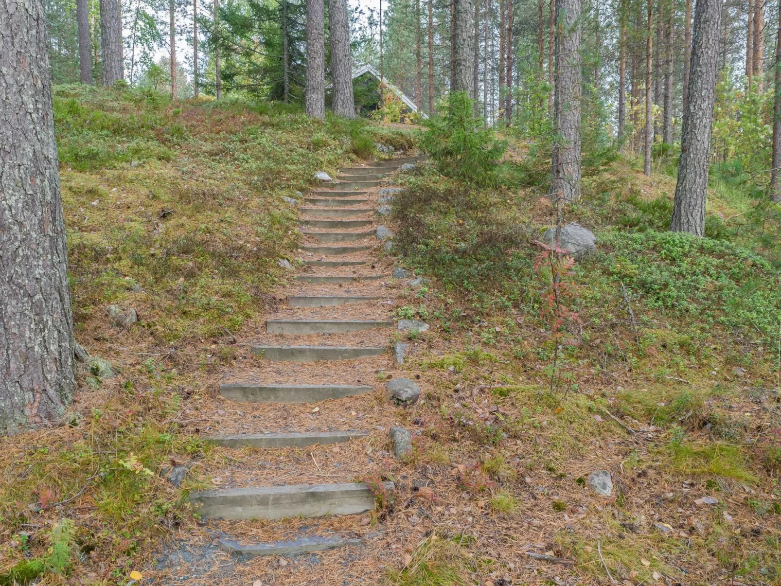 Ulpukka-Buiten