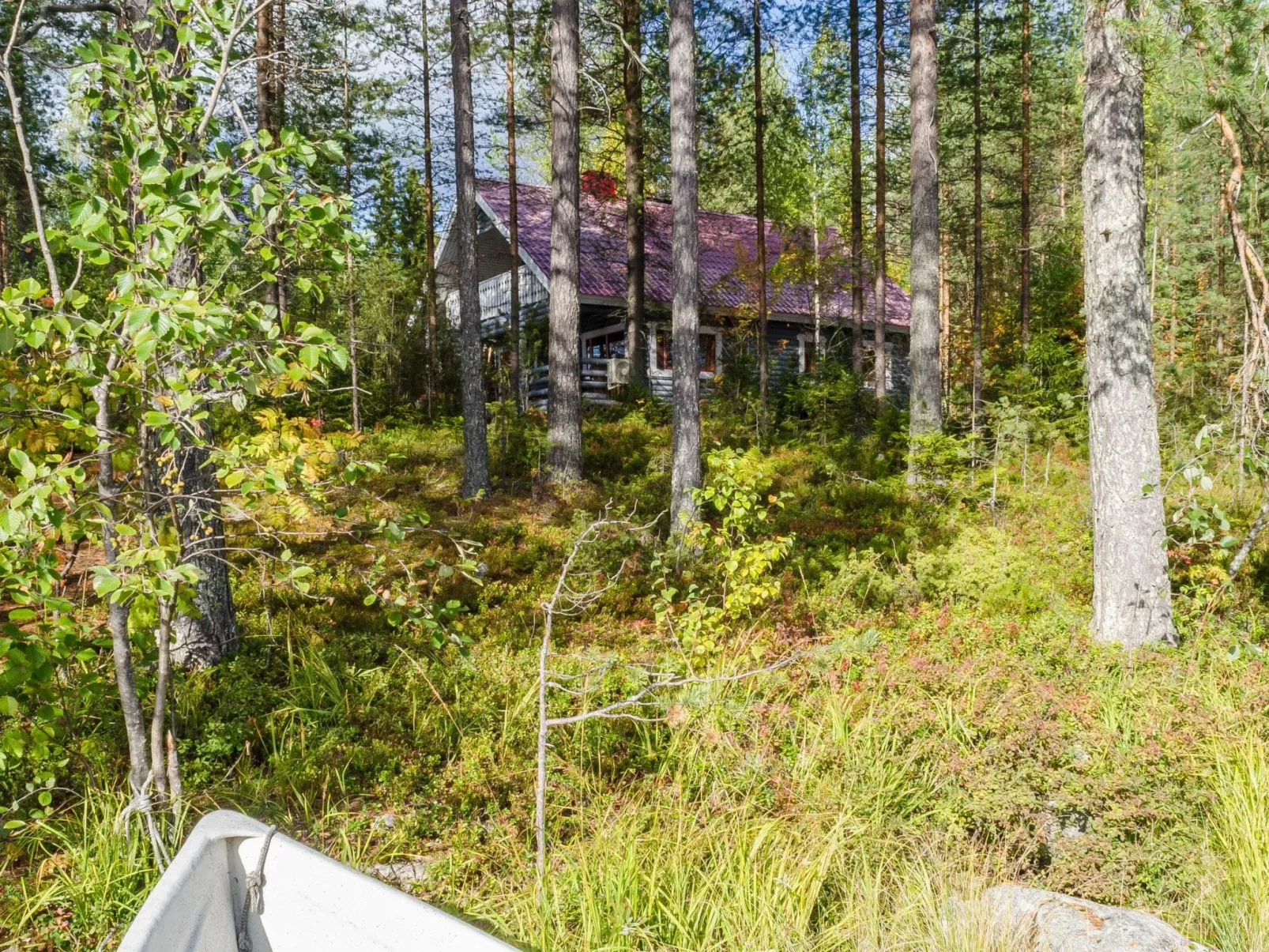 Metsätähti-Buiten