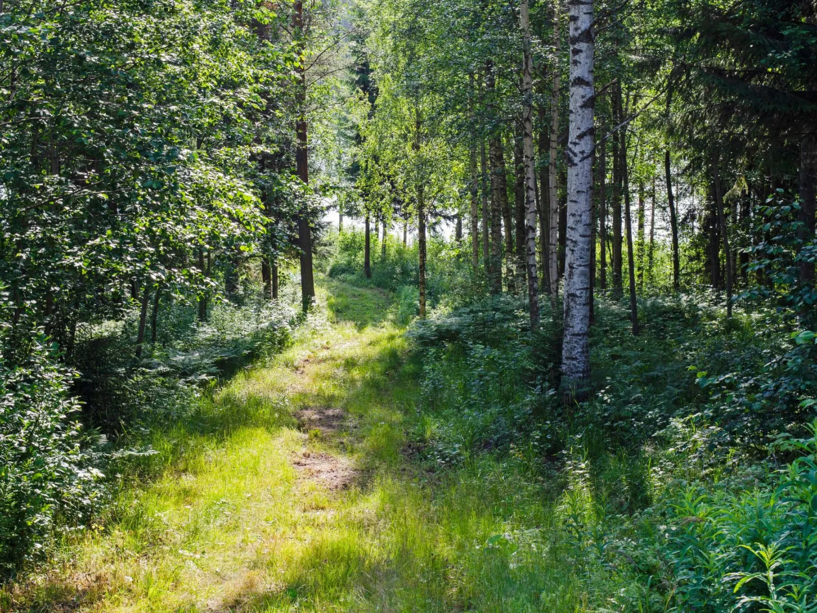 Kolin helmi 2-Buiten