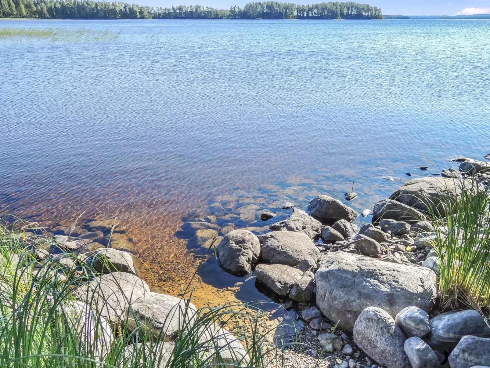 Kolin mesikämmen-Buiten