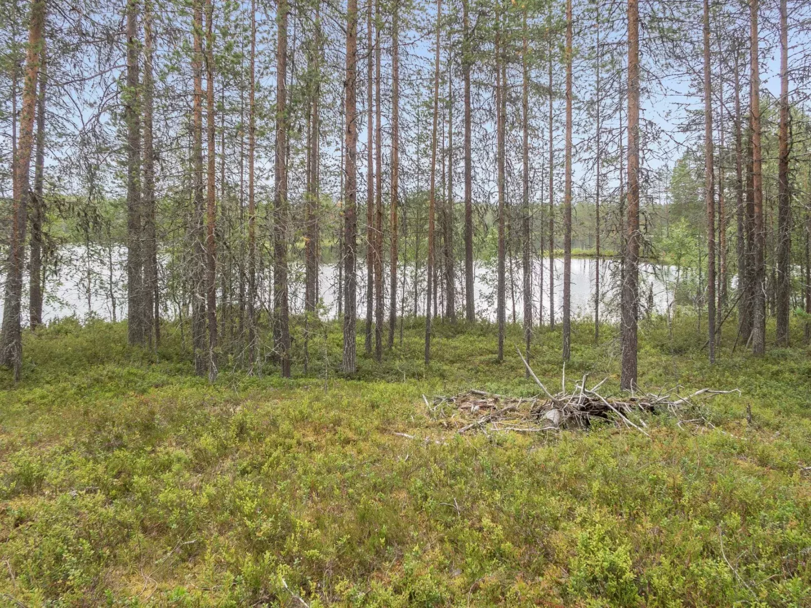 Oivangin siesta-Buiten