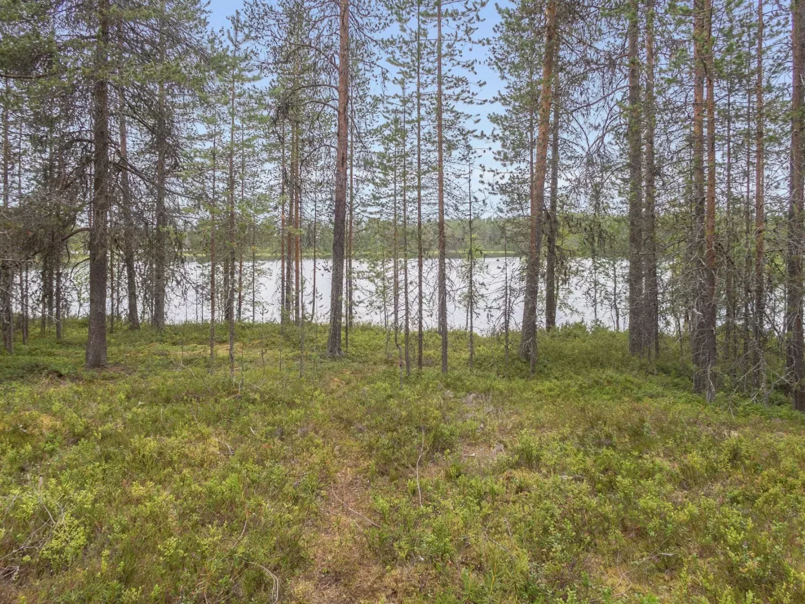 Oivangin siesta-Buiten