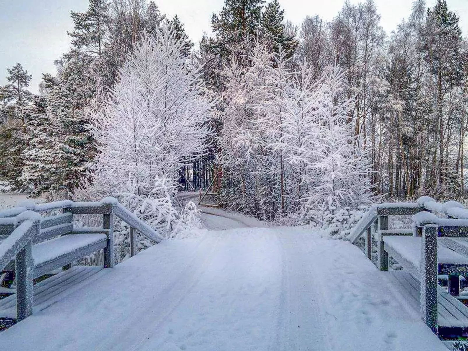 Niinimökki-Buiten