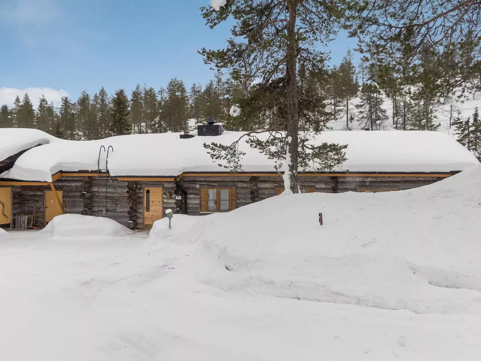 Ruska-ruka 9.1-Buiten