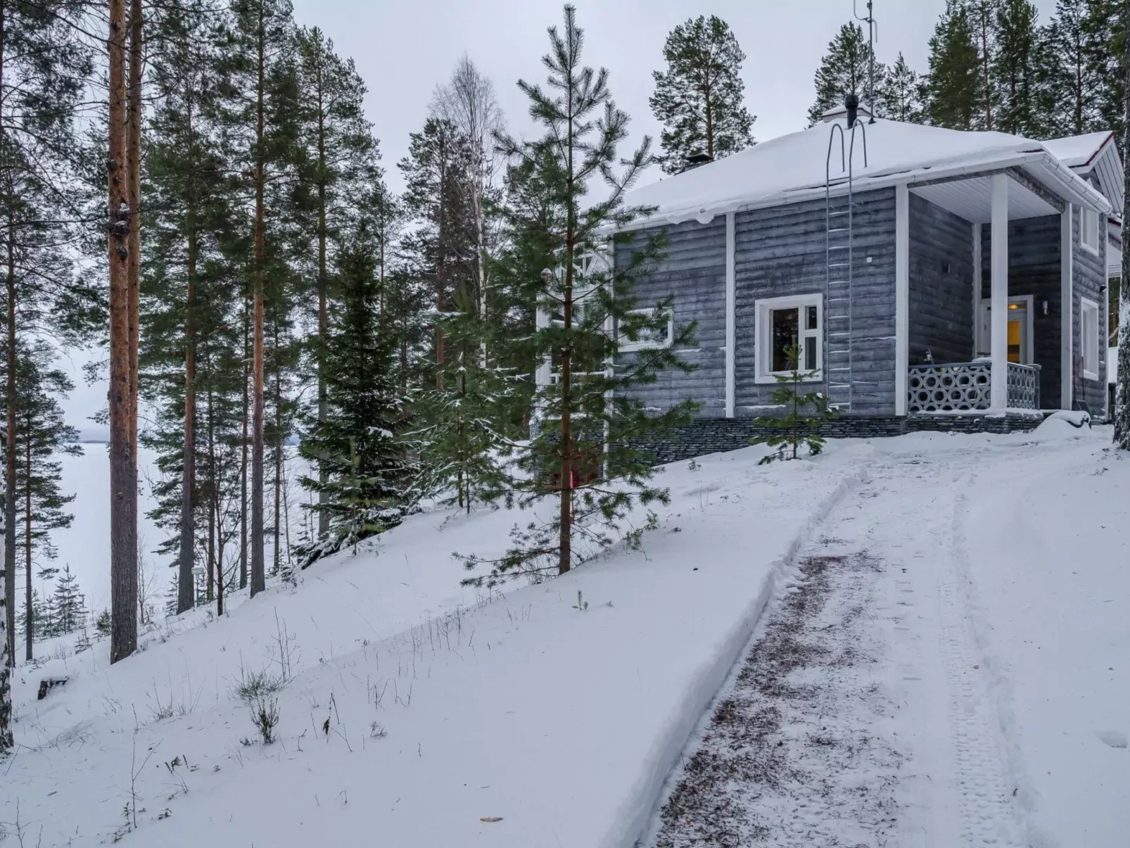 Huvila lomaonni (villa concrete kelo)-Buiten