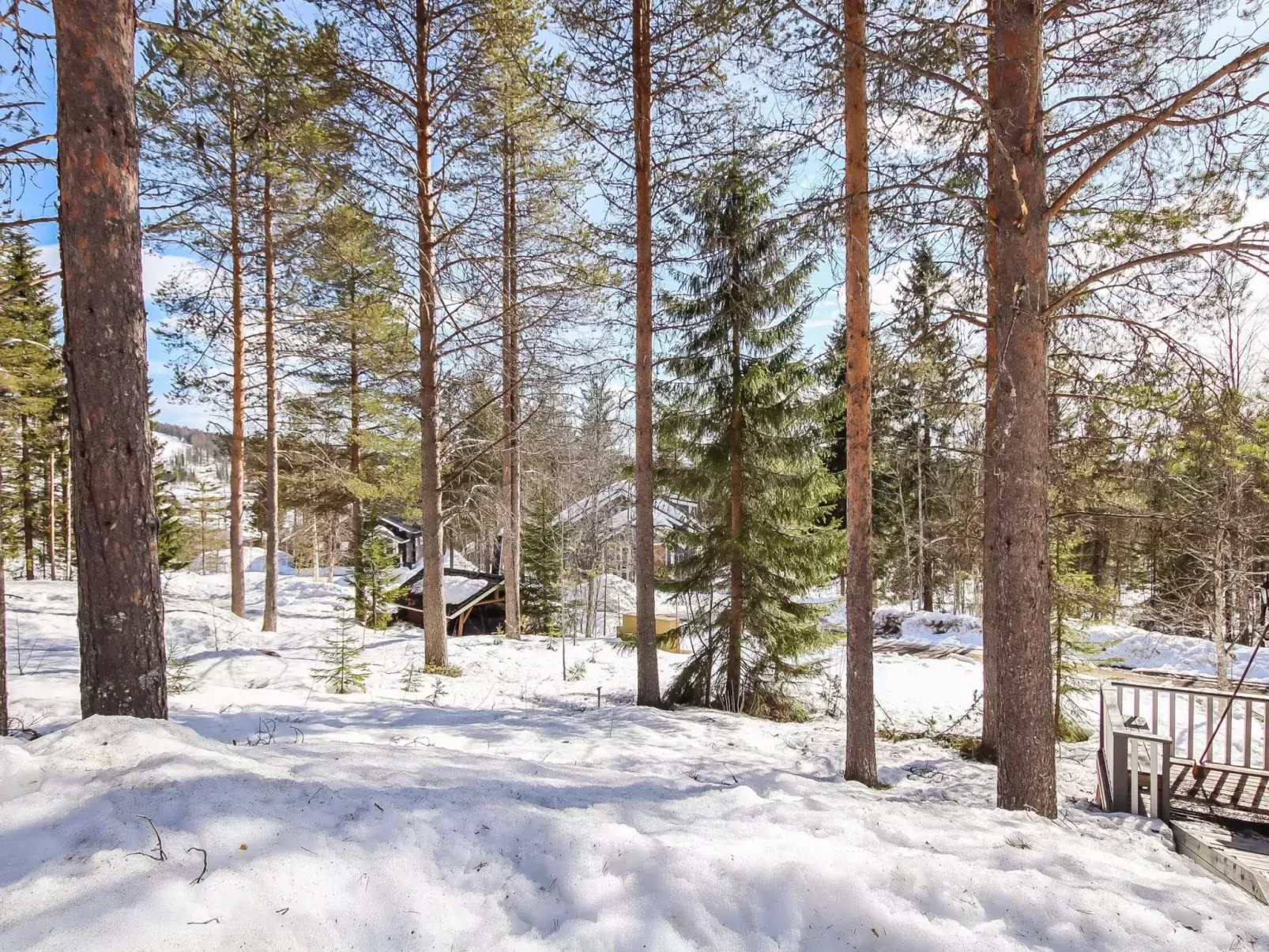 Hallanhelmi a paritalo-Buiten