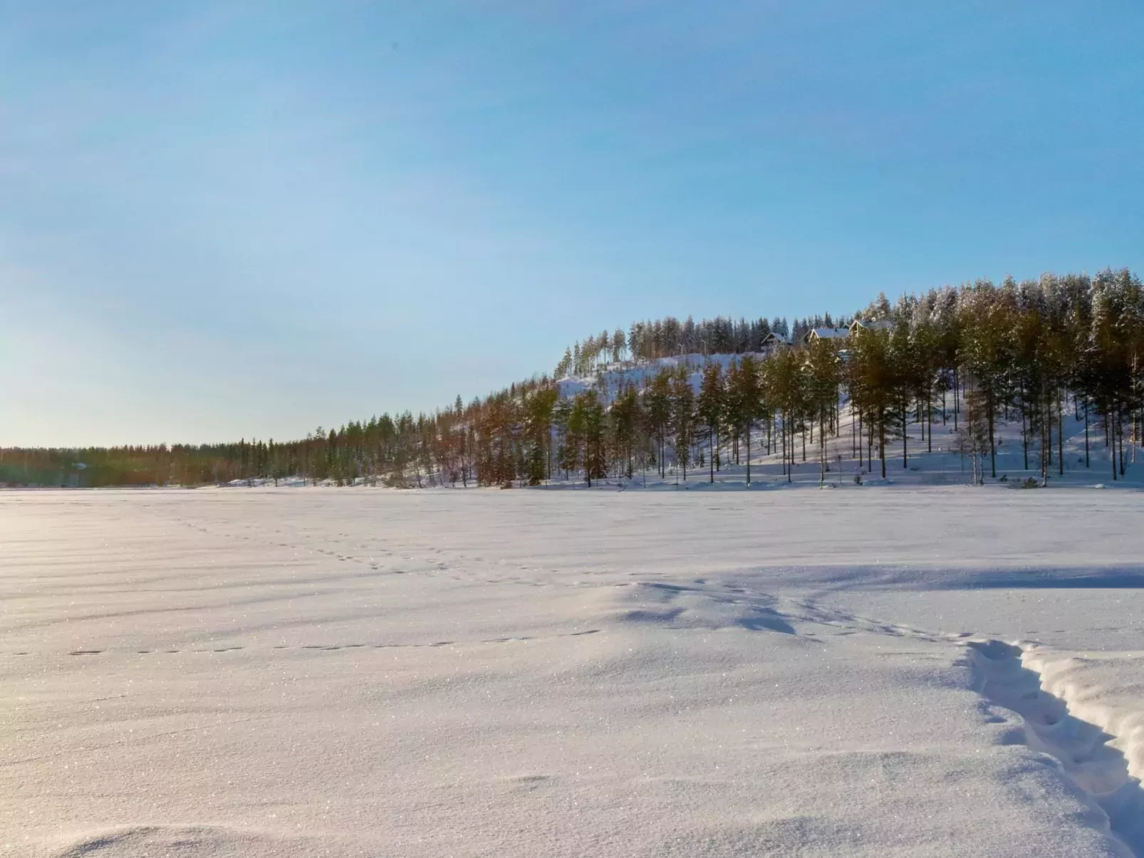 Hallantytär a2 paritalo