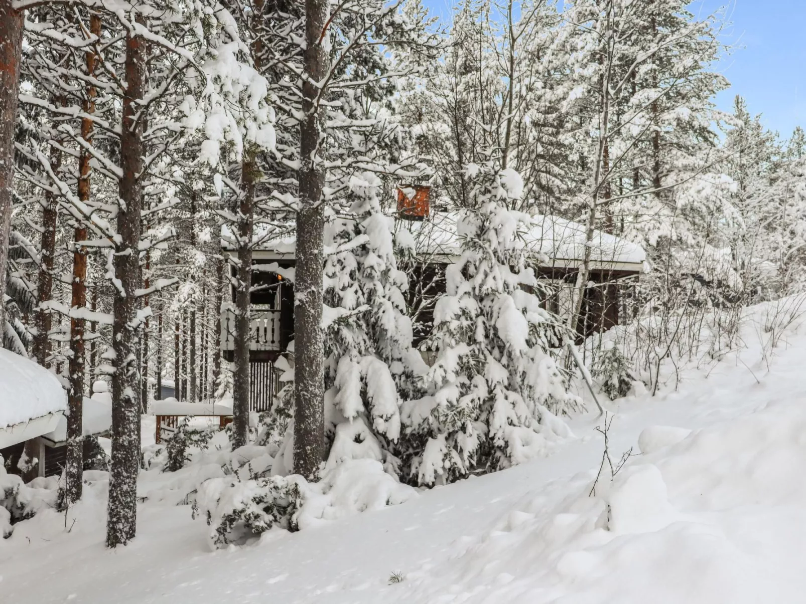 Hyrynpirtti mökki-Buiten