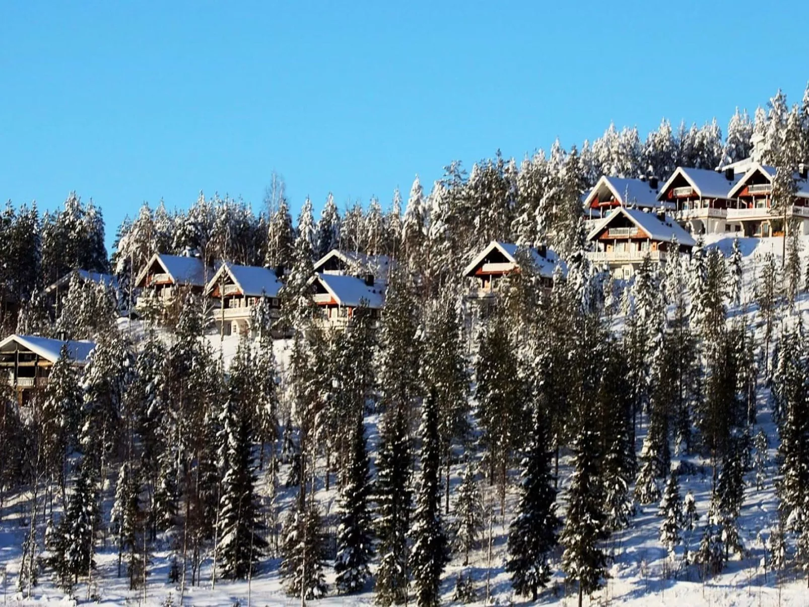 Hyrynpirtti mökki-Buiten
