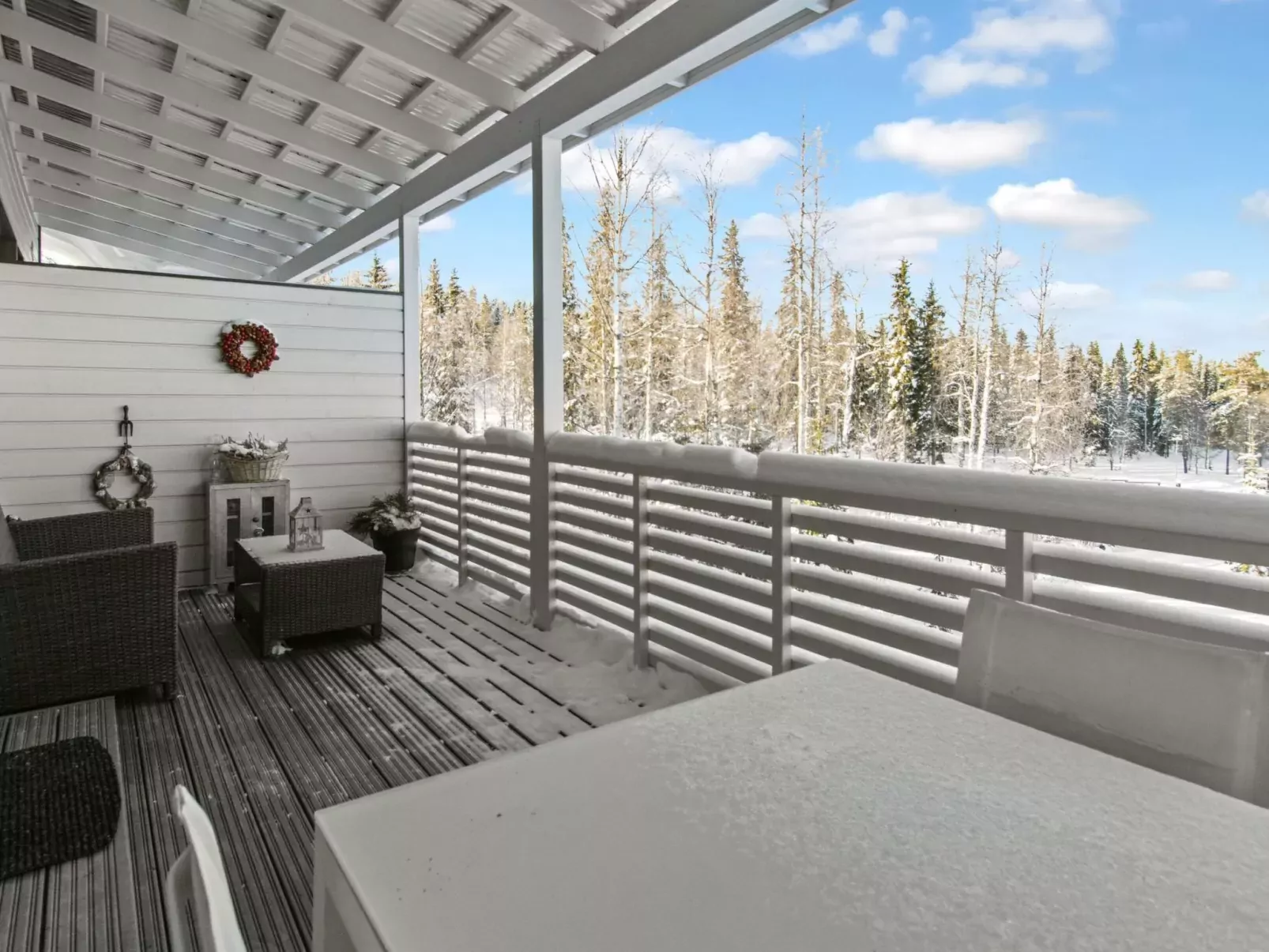 Skivillas 78 ukkohalla (2)-Binnen