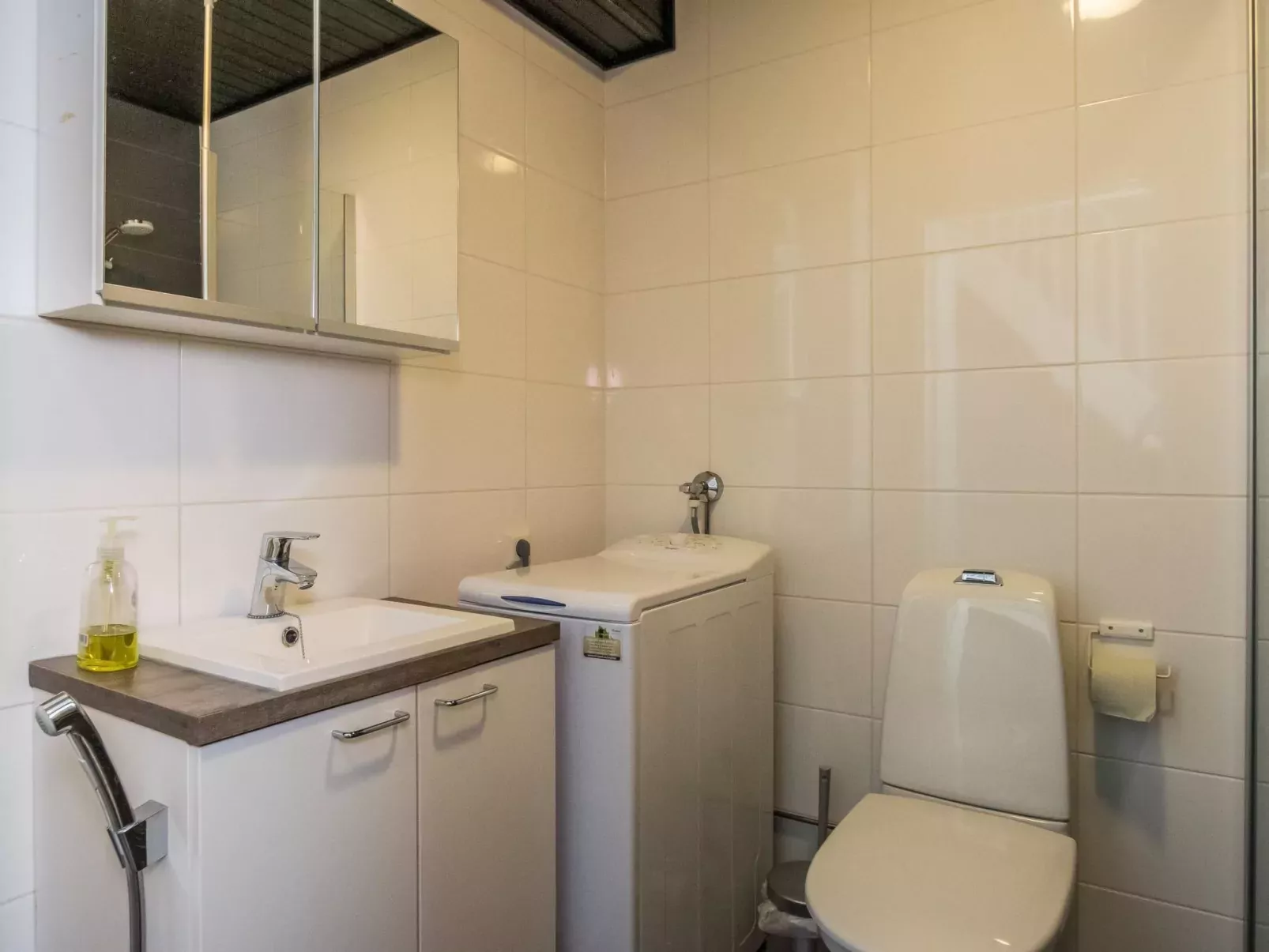 Skivillas 61 ukkohalla (b1)-Binnen