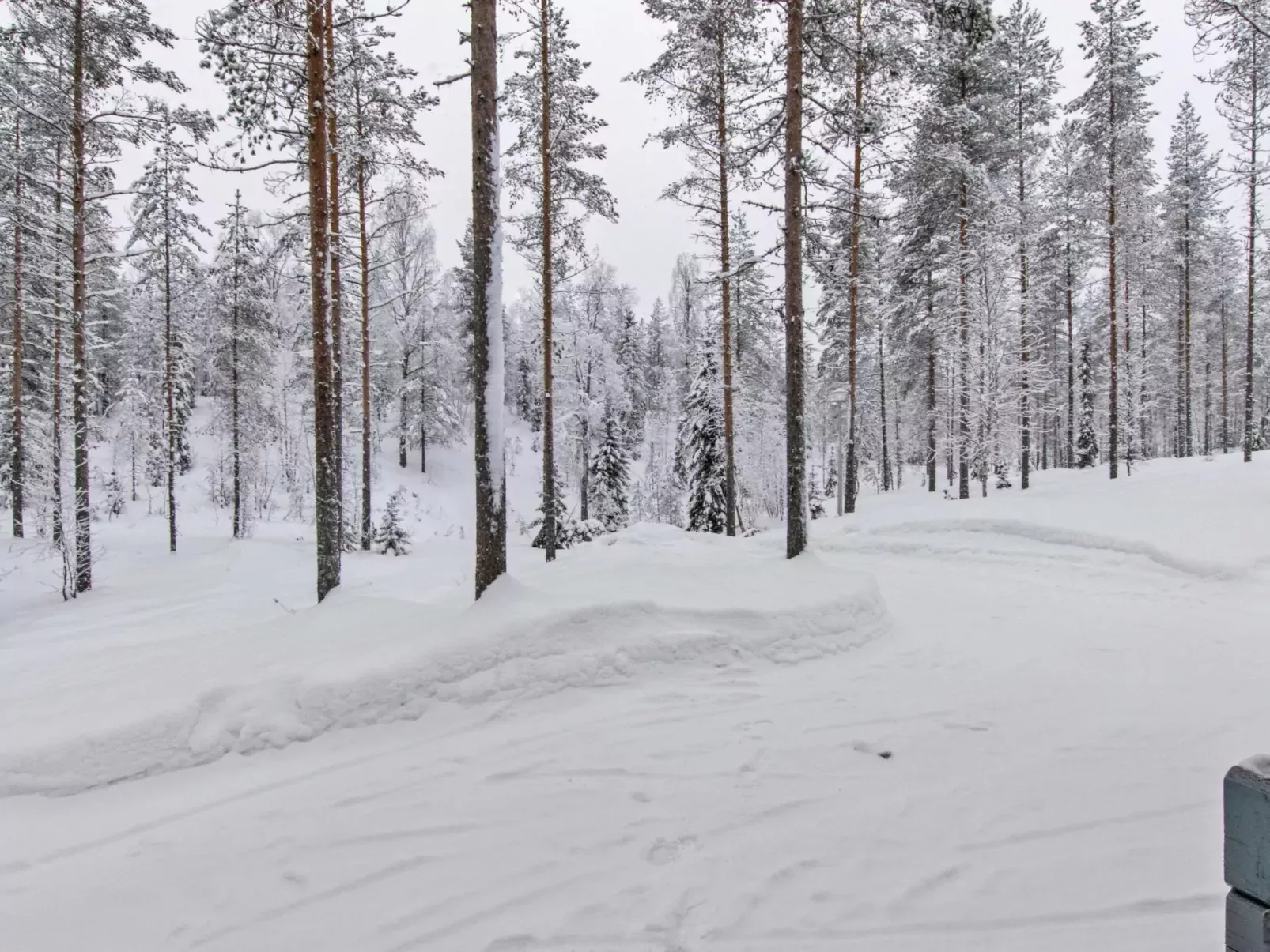 Ilves-Buiten