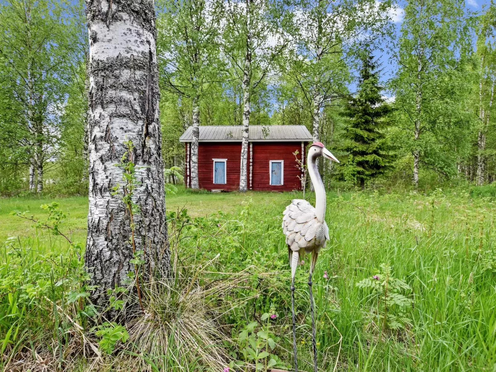 Eskelänniemi-Buiten