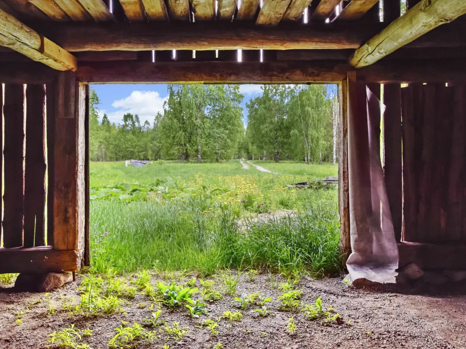 Eskelänniemi-Buiten