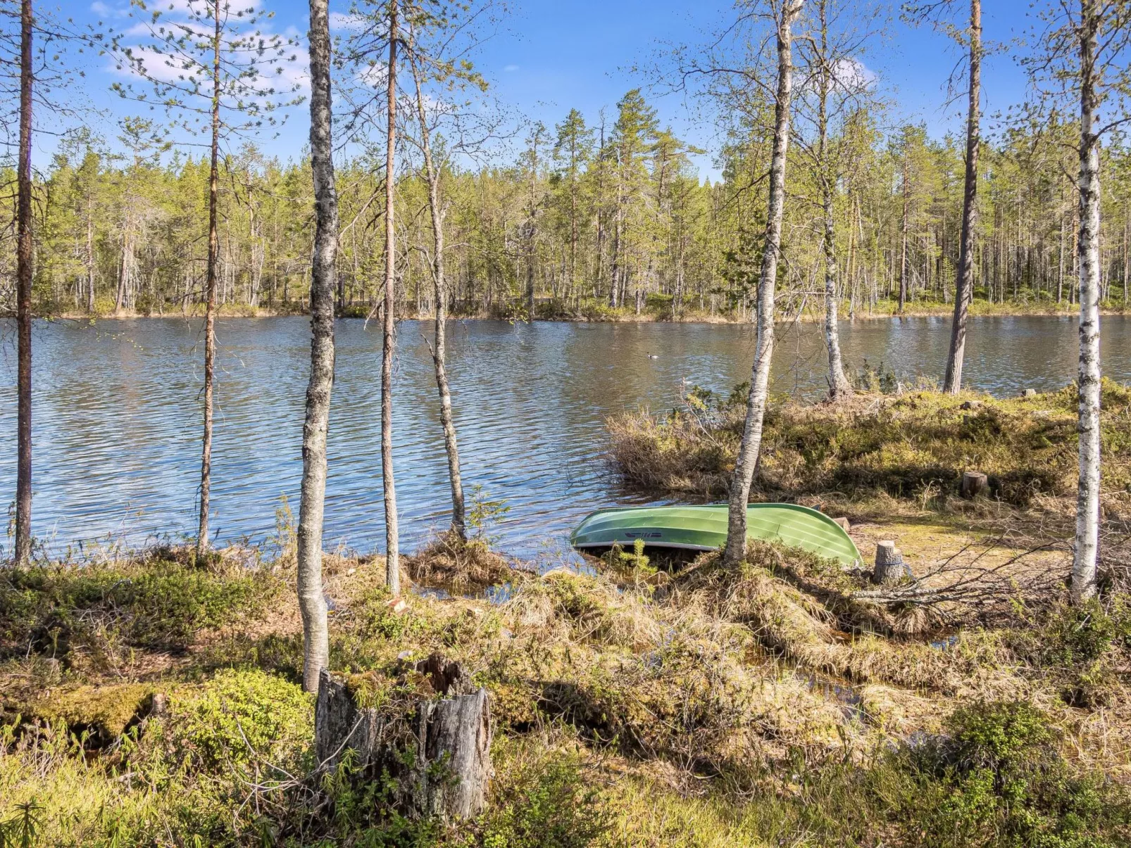 Kiehtäjän virta-Buiten
