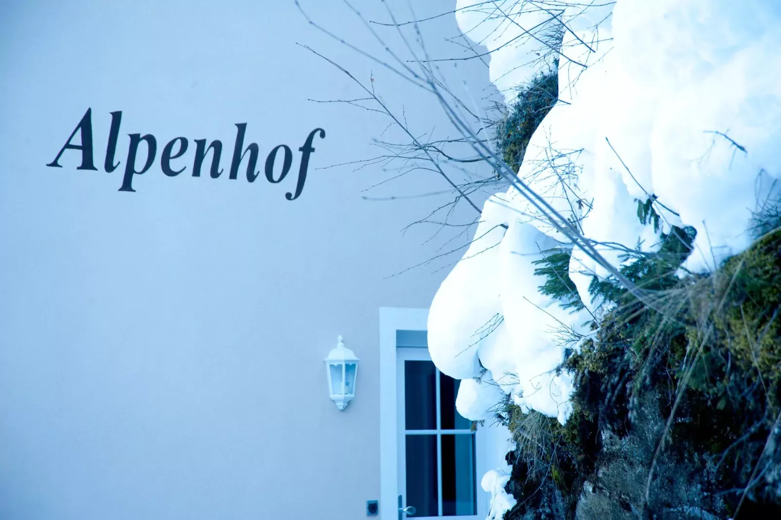 A2S Alpenhof 02-Hal-ontvangst