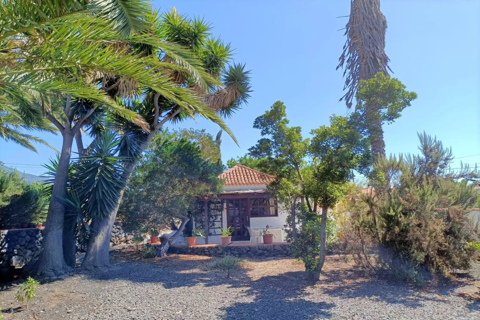 Janine-Buitenkant zomer