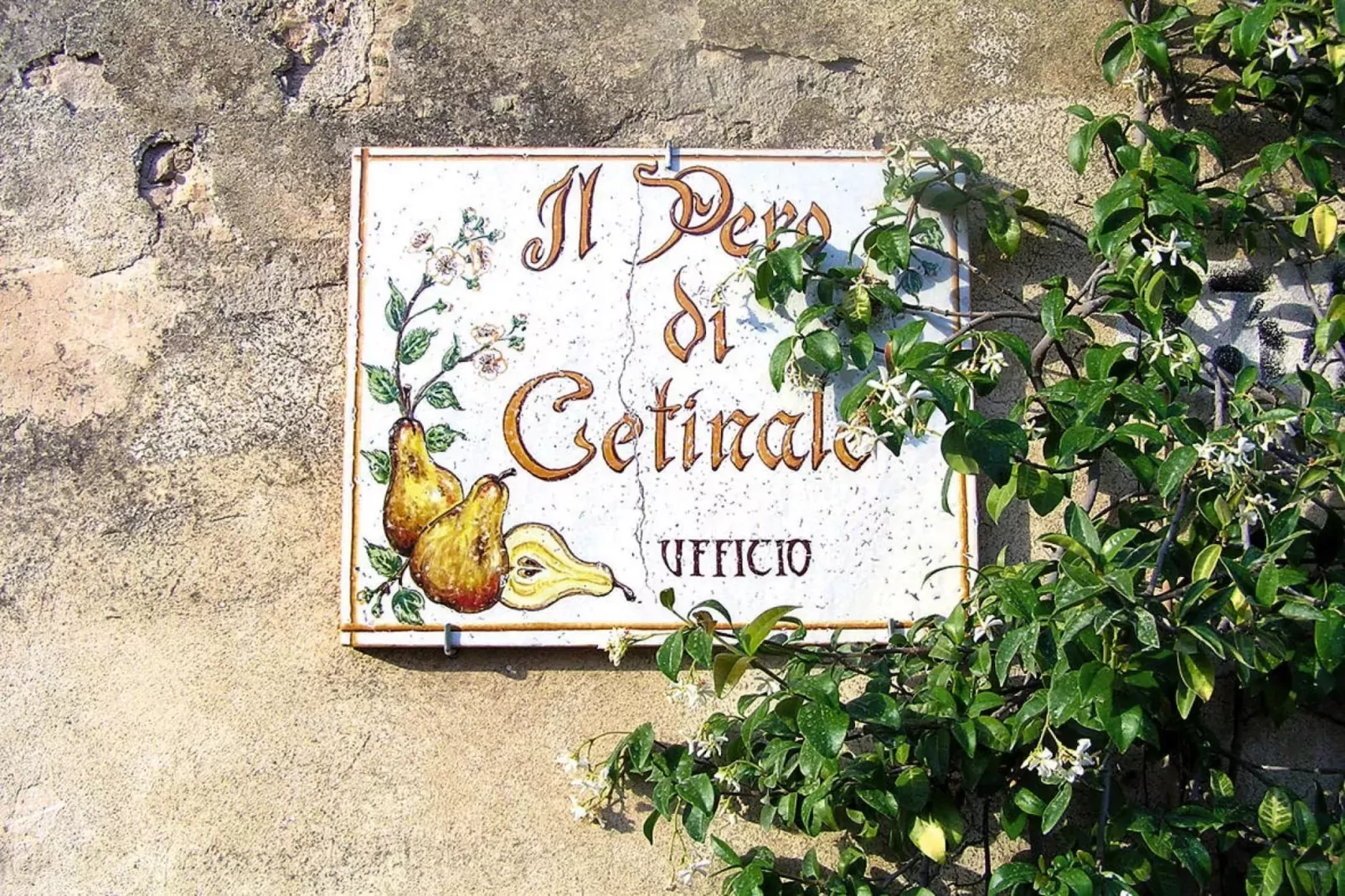 Residence Il Pero di Cetinale Sovicille Typ B 65 qm-Sfeer