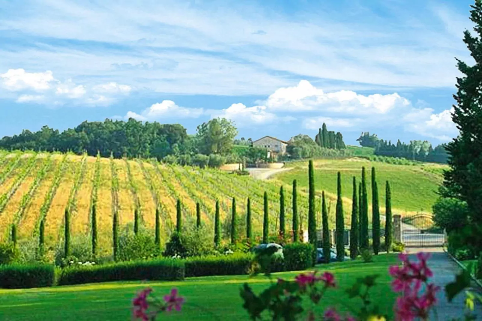 Ferienanlage Borgo della Meliana Gambassi Terme Typ Villa S Adele-Uitzicht zomer