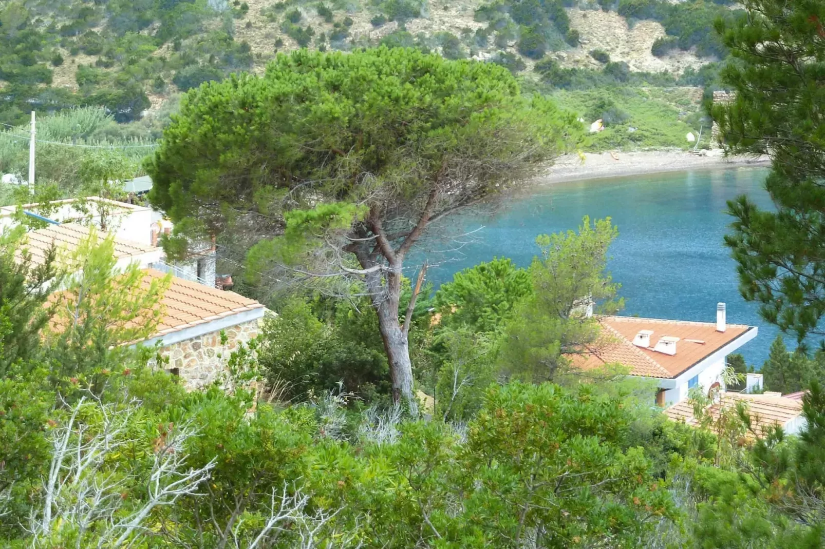 Ferienresidence La Cota Quinta Rio nell'Elba Typ Bilo Super 4 - vistamare-Gebieden zomer 1km