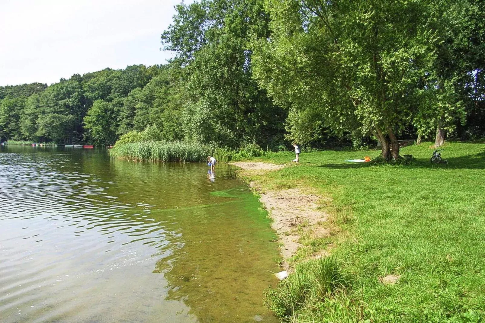 Ferienhaus 55 qm-Gebieden zomer 5km