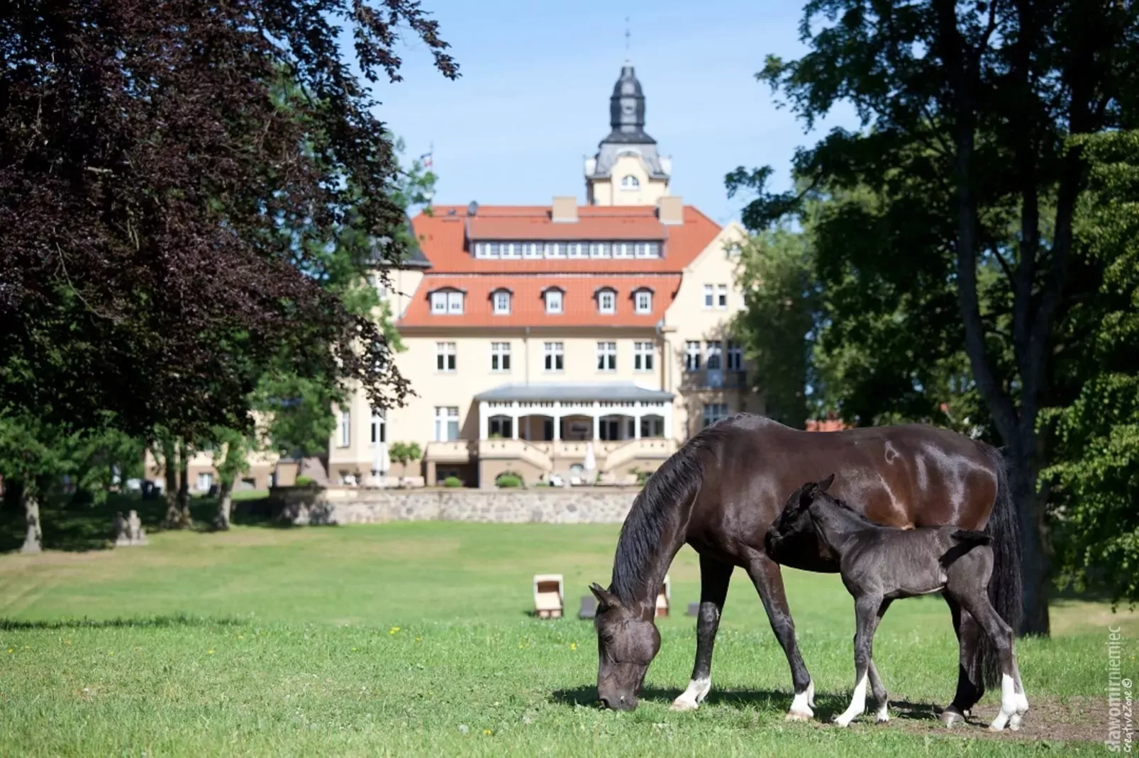 Ferienhaus Yvonne 100 qm-Gebieden zomer 5km