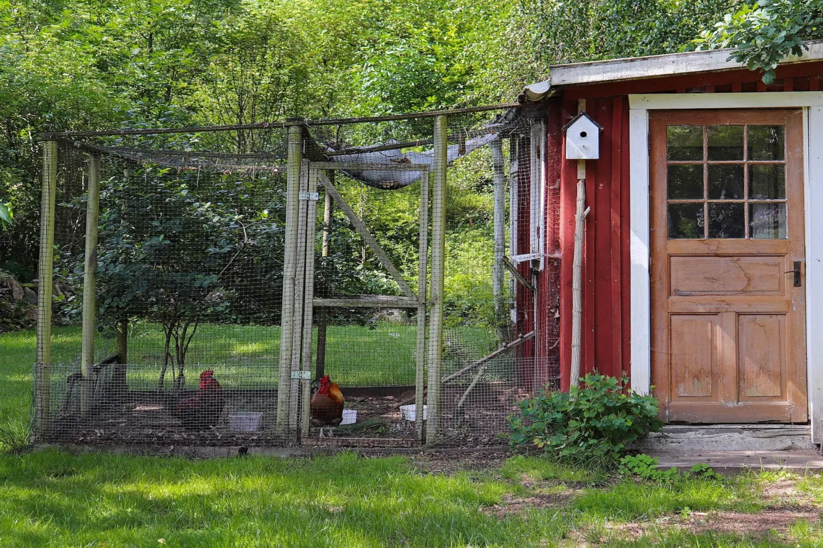 6 persoons vakantie huis in ÖRKELJUNGA-Buitenlucht
