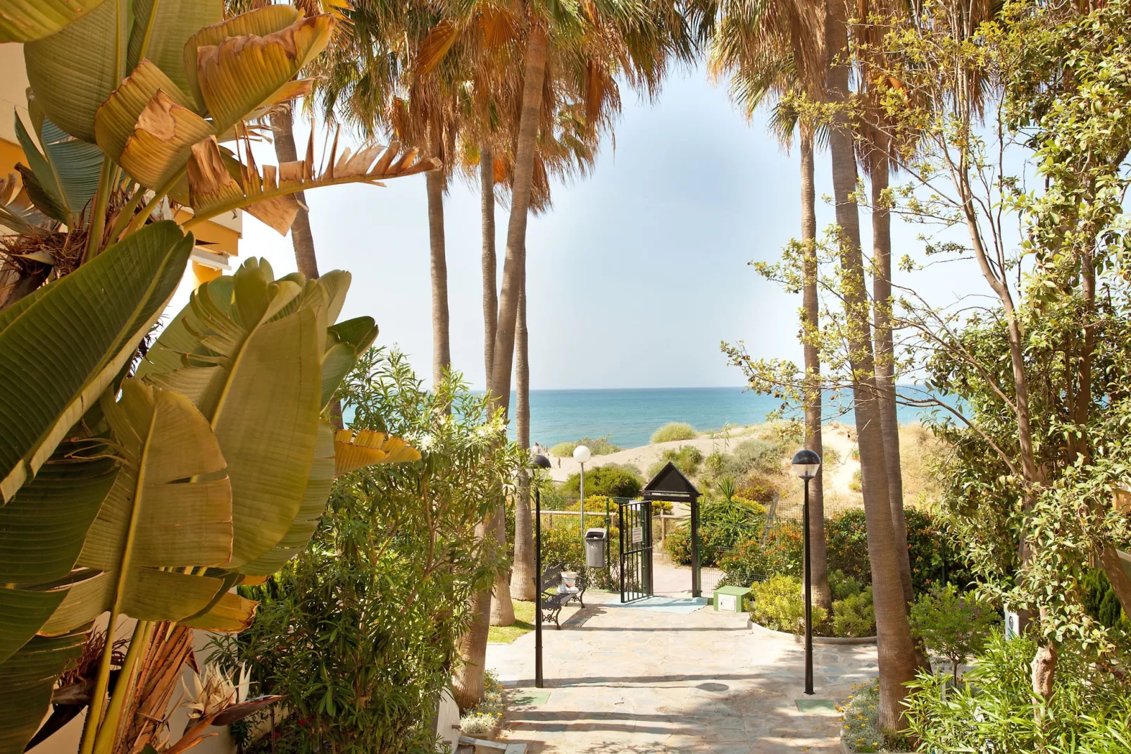 Romana Playa 555