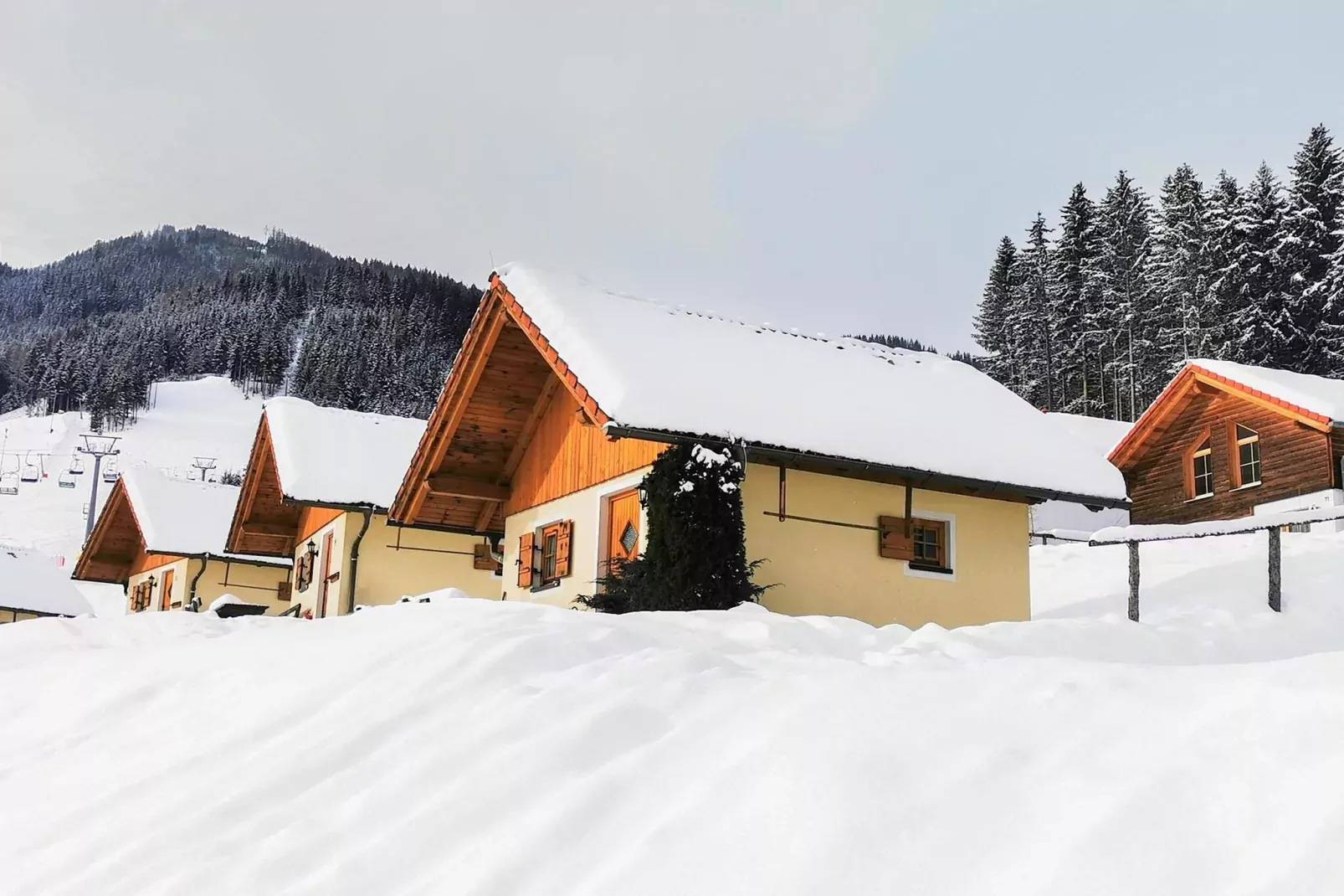 Ferienpark Gaal - Alpenland-Exterieur winter