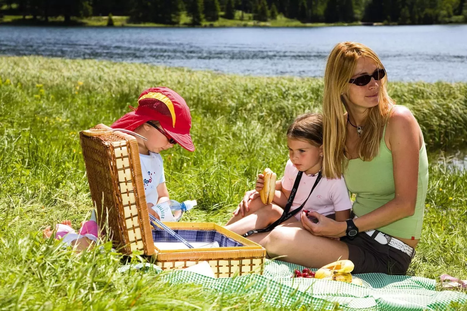 Ferienpark Gaal - Alpenland-Gebieden zomer 5km