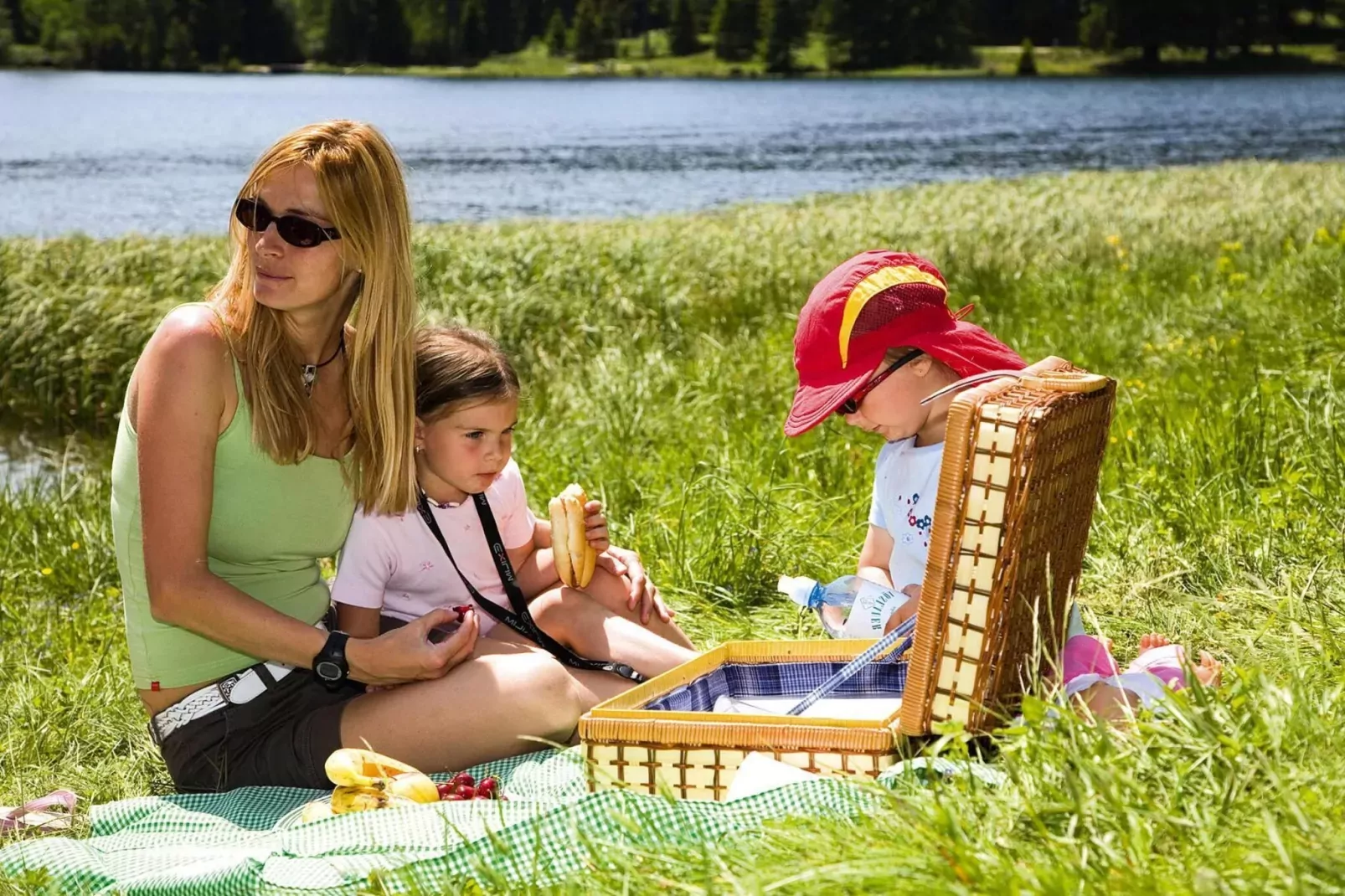 Ferienpark Gaal - Alpenland-Gebieden zomer 5km